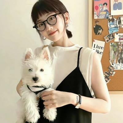 宫廷斗鸡